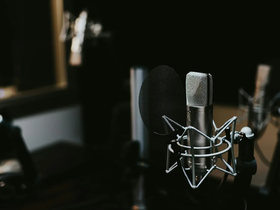 A studio condenser microphone in close-up